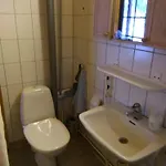 Lapikas *