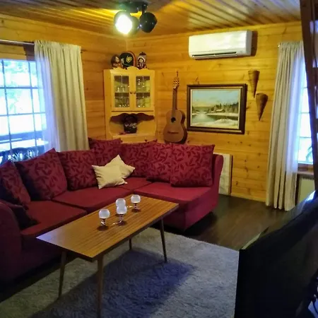Lapikas Apartment